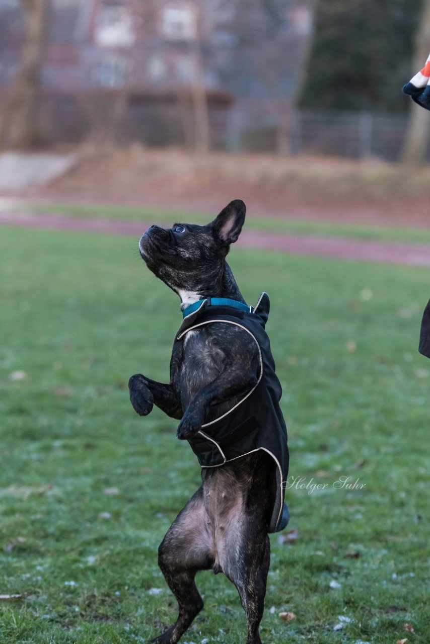 Bild 93 - Hundeshooting